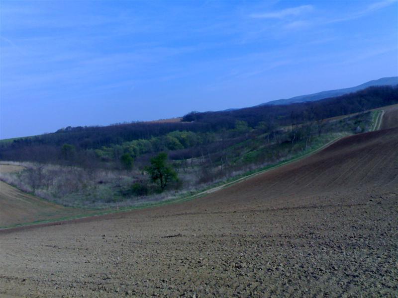 200704091742 .jpg